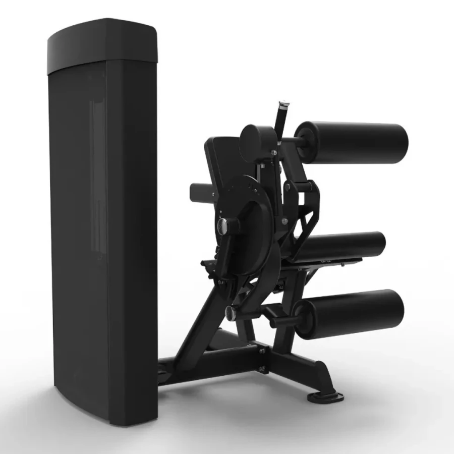 leg extension  curl (1).png