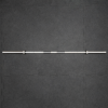weightlifting 20 kg stainless2.png