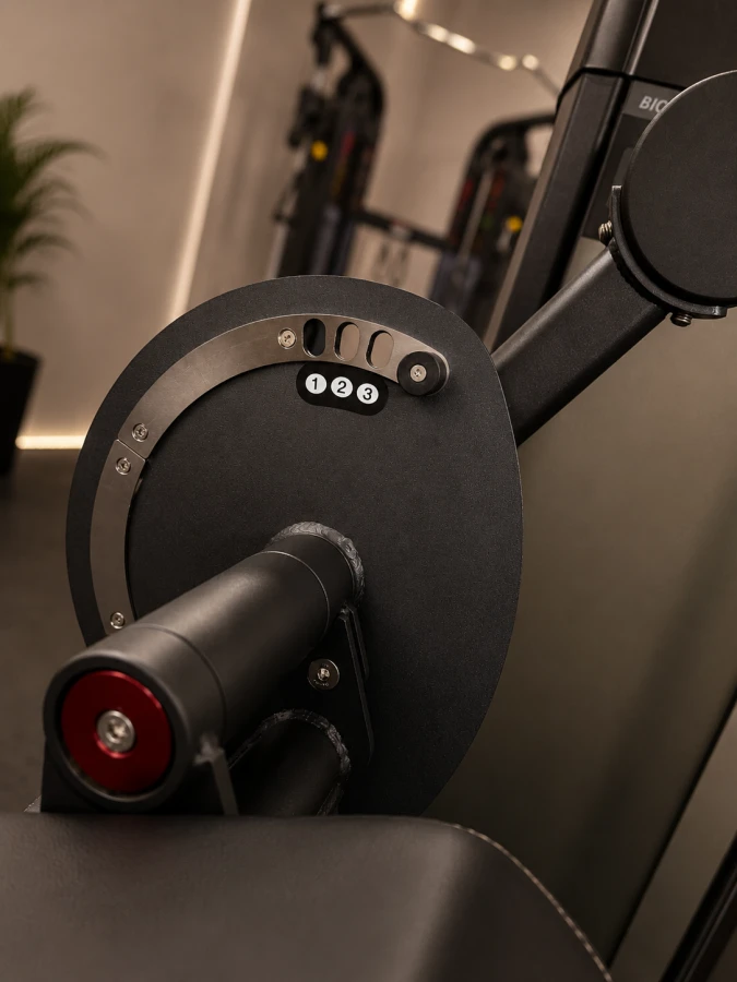 axxo biceps triceps.png