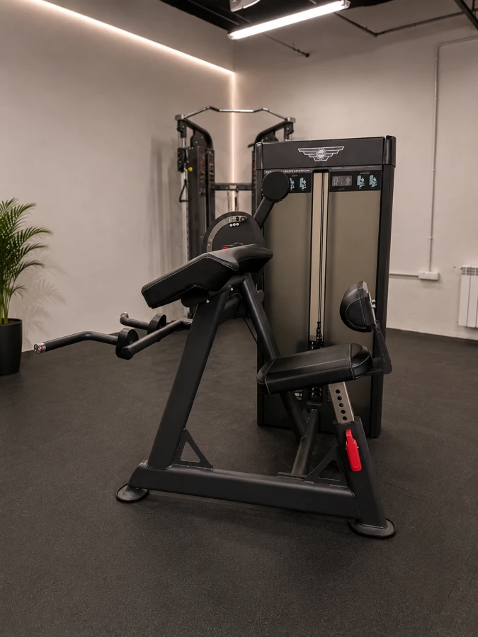 axxo biceps triceps4.png
