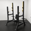 Shoulder Press Bench.png